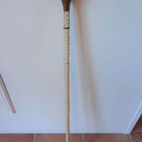 canne-vertebres-requin-cap-hornier-objet-marine1